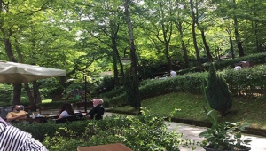 Sıcak Havanın İlacı Doğa!