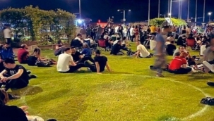 Kordon'da Kamelya Şikayeti!