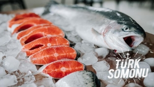Su ürünleri ihracatında Yükseliş Görülüyor