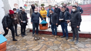 AK Gençlikten Sokak Hayvanlarına Destek!