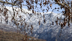 Tansiyon Hastaları Kışın Daha Dikkatli Olmalı