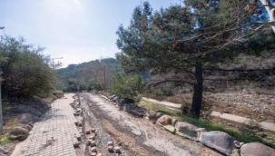 Homeros Vadisi yeniden ayağa kaldırılıyor