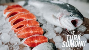 Egeli İhracatçılar Zoru Başardı