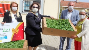EGİKAD'dan yerli ve milli tohuma destek