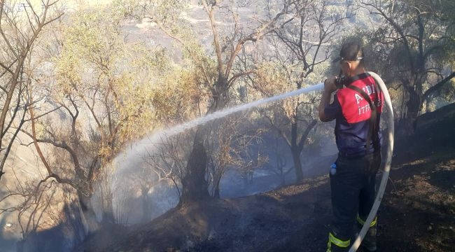 Büyükşehir İtfaiyesi'nden Germencik'te Çıkan Yangına Hızlı Müdahale