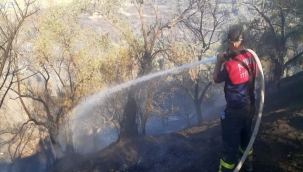 Büyükşehir İtfaiyesi'nden Germencik'te Çıkan Yangına Hızlı Müdahale