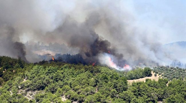 İyi Ki Varsın Alperen