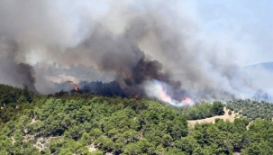 İyi Ki Varsın Alperen