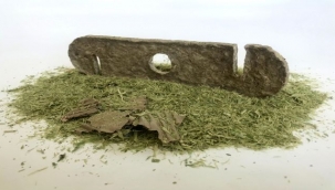 Kadınlar organik atıkları ürüne dönüştürecek