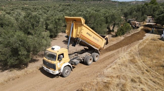 Zeytinliklerarası Yollarda Keyifli Hasat