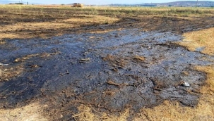 Foça'da vatandaşlardan vidanjörlere sıkı takip!