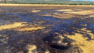 Foçalılar pis kokuya isyan etti!