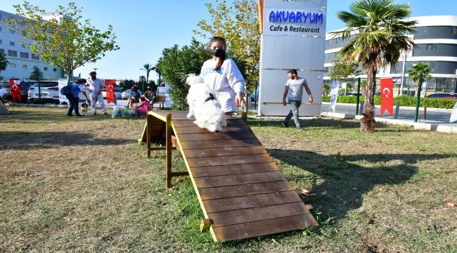 Pati Dostları Festivali Çiğli'de 4. Kez kapılarını açtı