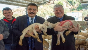 Büyükşehir'den Üreticiye Bir Destek Daha