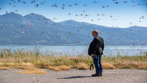 İzmirliler UNESCO Adayı Gediz Deltası'nda Buluşuyor