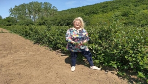 Anahtar Teslim Meyve Bahçesi Dönemi