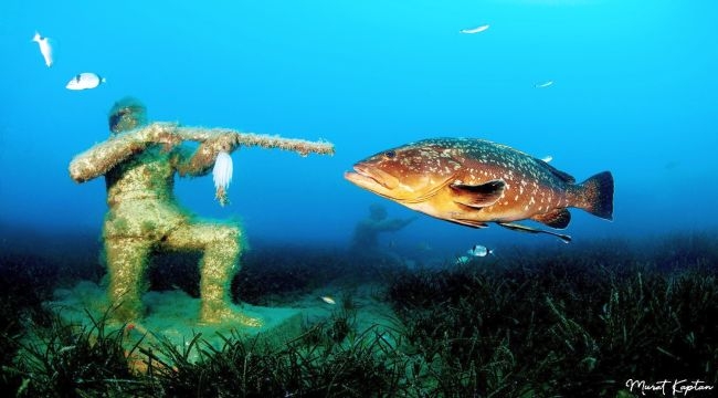 İzmirli Su Altı Fotoğrafçısı Dünya Birincisi Oldu