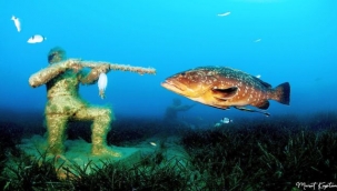 İzmirli Su Altı Fotoğrafçısı Dünya Birincisi Oldu