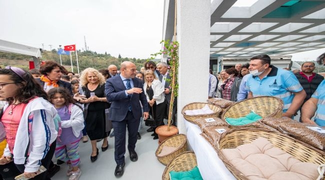 Sokak hayvanları kampüsü açılıyor