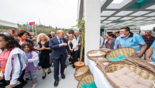 Sokak hayvanları kampüsü açılıyor