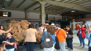 Engelliler Haftası etkinlikleri sürüyor