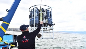 Hedef yüzülebilir Körfez