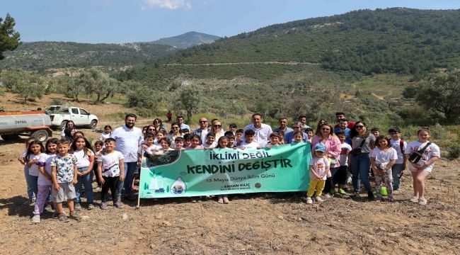 Zeytin dikimi etkinliği