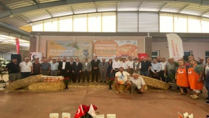 Akdeniz meyve sineği için tuzaklar kuruluyor