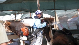 Bayraklı'da kesintisiz hizmet