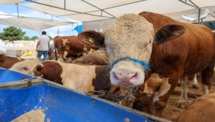 Buca'da bayram öncesi denetim mesaisi