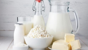 Süt ve süt ürünleri çocuklukta obeziteyi önlüyor