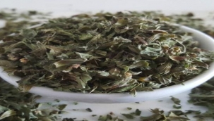 Antioksidan deposu melisa çayı hakkında merak ettikleriniz…