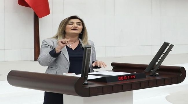 CHP'li Erdan Kılıç'tan Nebati değerlendirmesi