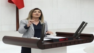 CHP'li Erdan Kılıç'tan Nebati değerlendirmesi