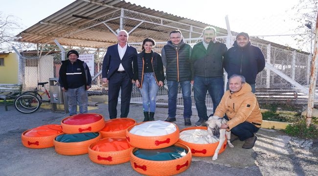 Eski lastikler canlara yatak oldu