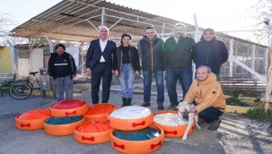 Eski lastikler canlara yatak oldu