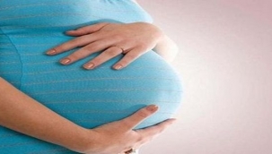 Gebeler virüslere karşı savunmasız yakalanıyor