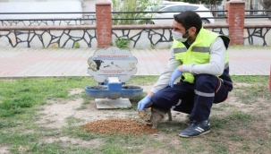 Bayraklı'dan can dostlara mama ve su desteği