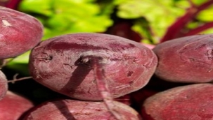 Hem besleyici hem de sağlıklı: Kırmızı Pancar