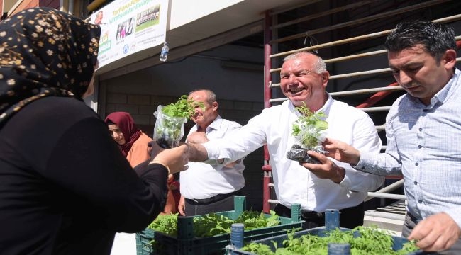 Üreten kent Kemalpaşa