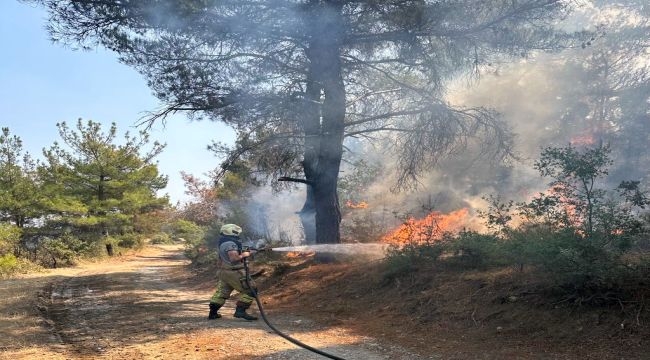 8 araç ve 22 personelle yangına destek!