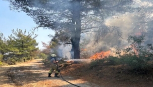 8 araç ve 22 personelle yangına destek!
