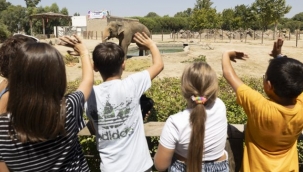 İyi ki doğdun Winner