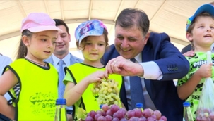 Urla'nın binlerce yıllık Bağbozumu Şenliği başladı