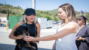 Yangından kurtarılan can dostlara destek ziyareti