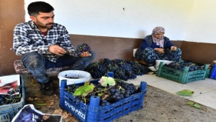 Hem üreticiye hem dar gelirliye destek