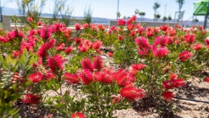 İşgücünden tasarruf ediyoruz
