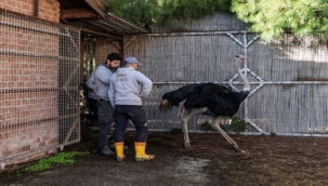 2025 Hedefleri Belirlendi