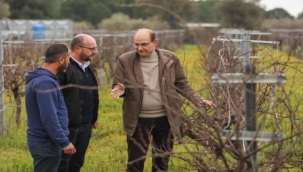 Markalaşma Yolunda Önemli Bir Adım