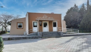  Sosyal Hizmet Danışmanlığı 